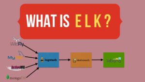 what is elk