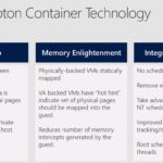 windows container types-krypton container used for Defender Application Guard