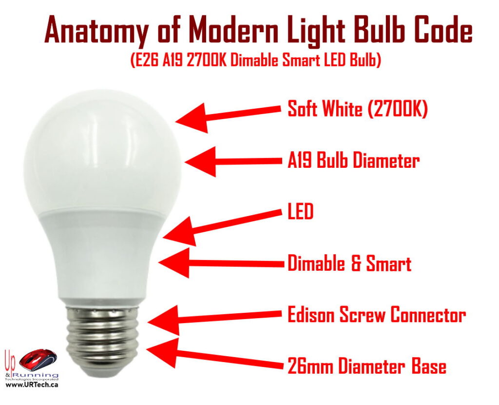 anatomy of a light bulb code