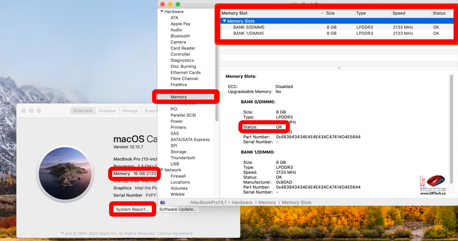 how to check the RAM on my Apple Mac