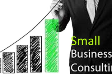 small business consulting services
