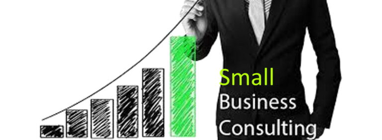 small business consulting services