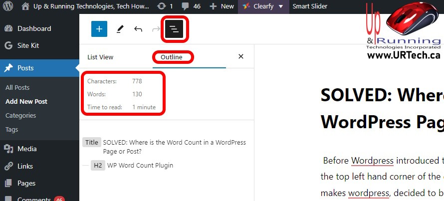 Word Count in a WordPress Page or Post