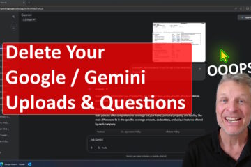 delete google gemini uploads and questions 2